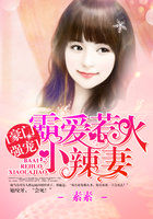 豪门强宠:霸爱惹火小辣妻