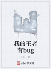 �ҵ�������bug