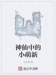 �����е�С����