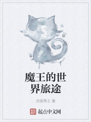 ħ����������;