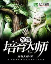 ����֮����������ʦ