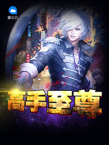 高手至尊