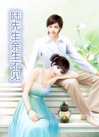 陆先生,余生不见(苏若陆景湛)