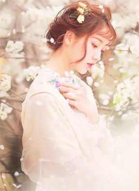 1231���������񷣩