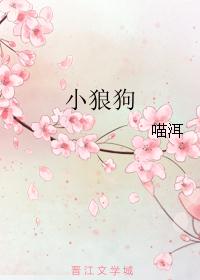 Сǹ