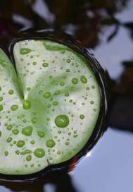 ������¼