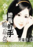 小丫头,逃不出总裁的手!