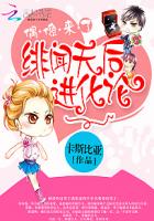 偶像来了:绯闻天后进化论