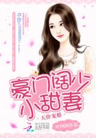 天价宠婚:豪门阔少小甜心