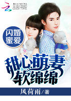 闪婚蜜爱:甜心萌妻软绵绵