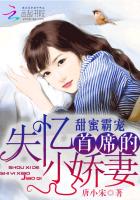 甜蜜霸宠:首席的失忆小娇妻