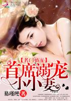 名门婚宠:首席溺宠小小妻