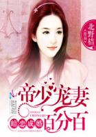 暗恋成婚:帝少宠妻百分百