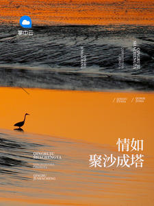 �����ɳ����