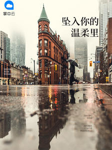 ׹�����������