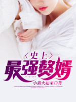 ʷ�����׸��