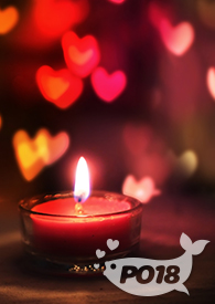 �����ѿ�