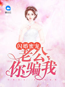 闪婚蜜宠:老公你骗我