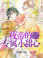 隐婚契约:夜帝的专属小甜心