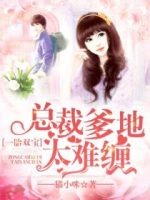 一胎双宝:总裁爹地太难缠