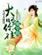 夫君太腹黑:大师你往哪里跑