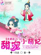 夫君追上门:甜宠小萌妃