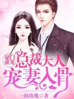 豪门盛宠:总裁大人宠妻入骨